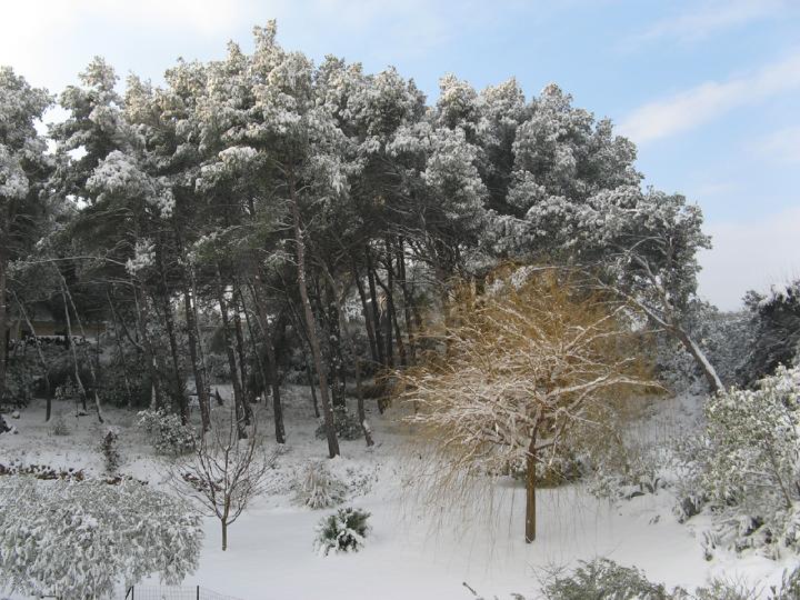 2009-01 007.JPG